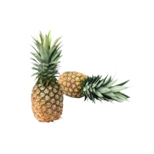 Golden Pineapple